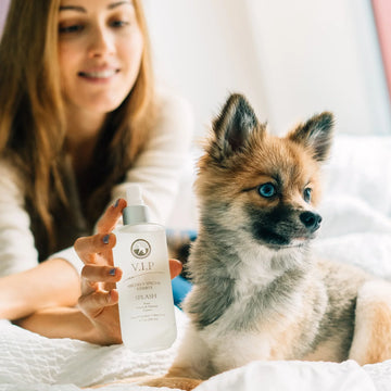 The Surprising Science Behind Groomers’ Vinegar Rituals: More Than Just a Folk Remedy