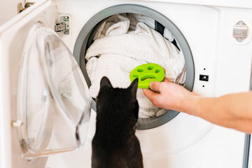The Pet Owner’s Secret Weapon: How Dryer Balls Tackle Fur Chaos and What Your Breed’s Shedding Style Means for Laundry Day