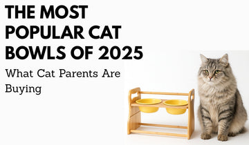 The Most Popular Cat Bowls of 2025