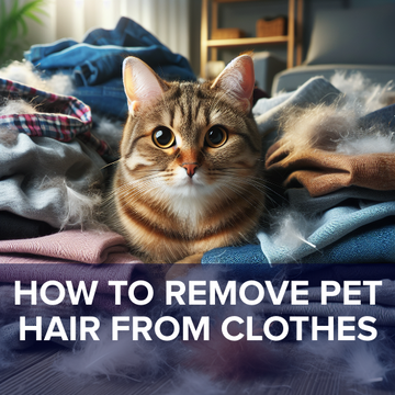 How to remove pet hair from clothes