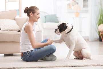 Why Dogs Rub Their Faces With Their Paws: Decoding a Canine Love Language