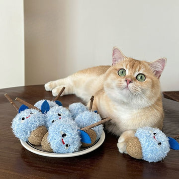 Durable Catnip Chew Toy