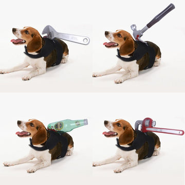 Halloween Costume for Small & Medium Pets – Funny & Festive Pet Dress-Up for Dogs & Cats