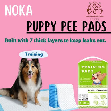 Extra Thick Puppy Pee Pads – Leakproof & Quick-Drying for Dogs/Cats of All Sizes