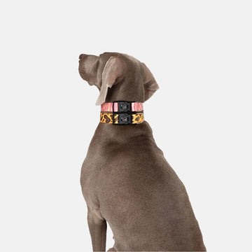 Adjustable Outdoor Dog Collar – Durable Reflective Nylon for Dogs