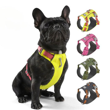 Lightweight Waterproof Dog Harness for Small & Medium Breeds|Breathable, Adjustable