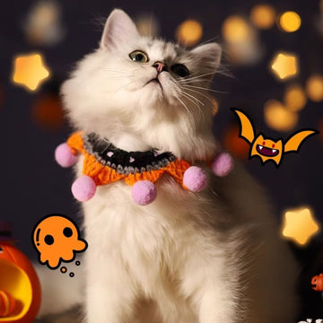 Handmade Halloween Collar for Small Pets – Festive Cat & Small Dog Accessory