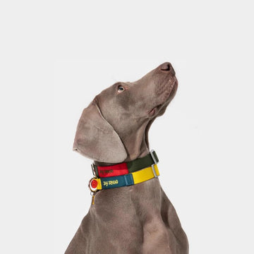 Multi-Functional Dog Leash Set with Quick-Release Handle