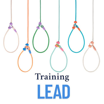 Professional Dog Training Slip Lead – Heavy Duty P Leash with Anti-Pull Control 7mm