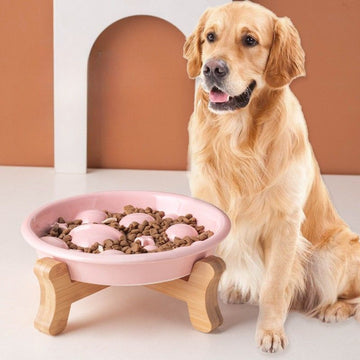 Ceramic Slow Feeder Bowl with base for Medium & Large Dogs| for Pets up to 20kg