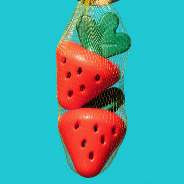 Strawberry Treat Dispensing Toy – Interactive Chew Toy for Dogs, Anxiety Relief