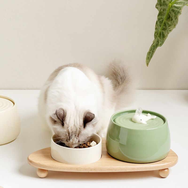 Zen-Inspired Ceramic Pet Fountain with Kiyoyu Motif|Silent Flow|Oriental Aesthetic for Cats & Dogs