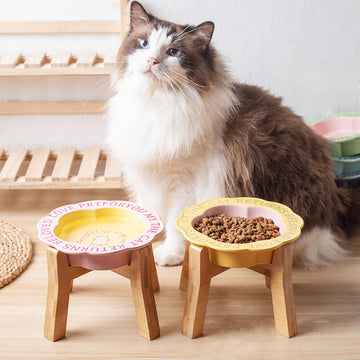 Princess-Style Porcelain Pet Bowl | Lace Edge & Easy-Clean