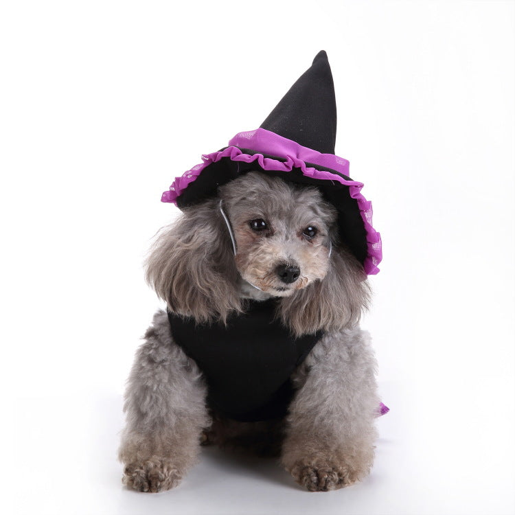 Halloween Witch Costume for Pets – Funny Holiday Outfit for Small Dogs & Cats