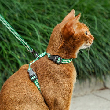 Cat Outdoor Safety Leash – Escape-Proof Adjustable Pet Harness and Leash Set