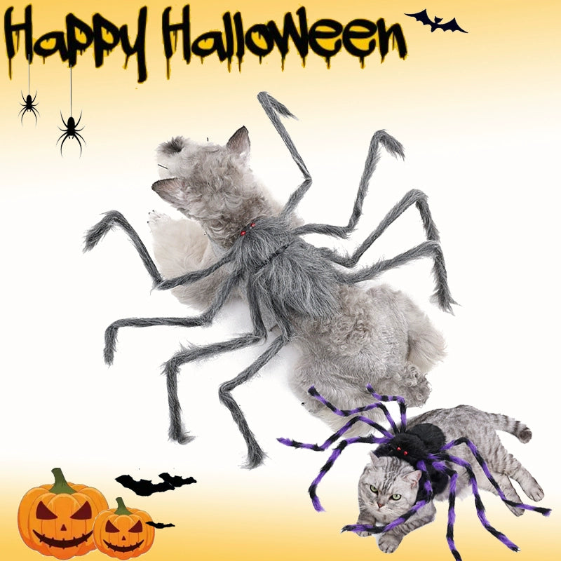 Halloween Pet Costume – Funny Spider Outfit for Dogs & Cats