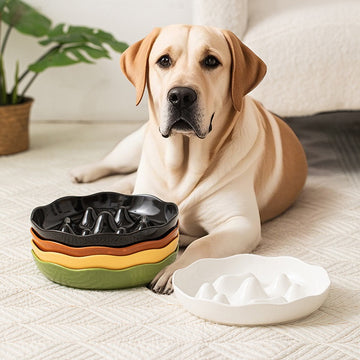 Ceramic Slow Feeder Bowl for Medium & Large Dogs | Anti-Choke