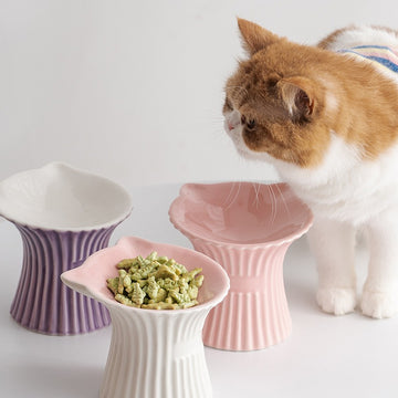 Petal Style Ceramic Cat Bowls and Small Dog Bowls