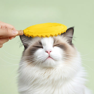 Pet Massage Comb