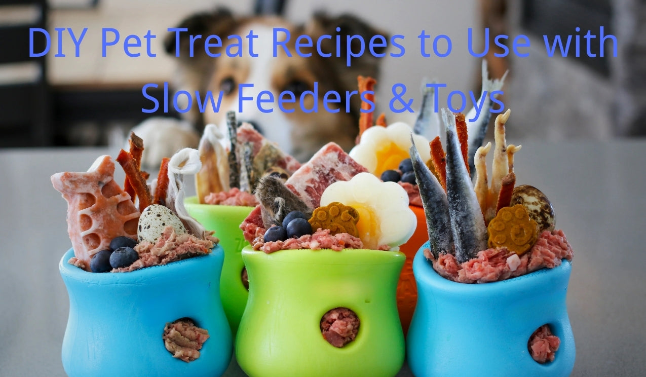 DIY Pet Treat Recipes to Use with Slow Feeders & Toys