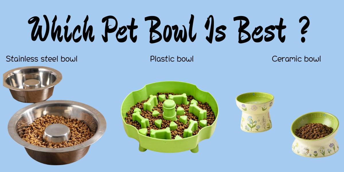 Ceramic vs. Stainless Steel vs. Plastic: Which Pet Bowl Is Best?