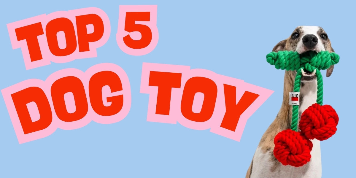 Interactive Pet Toys