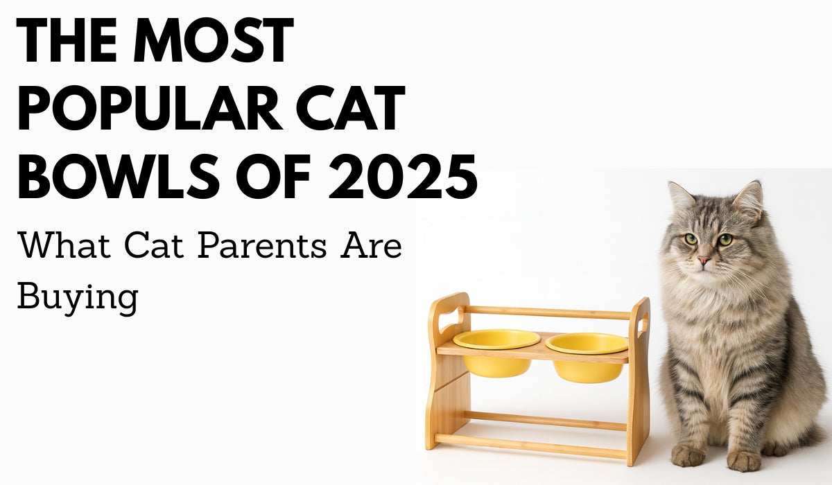The Most Popular Cat Bowls of 2025