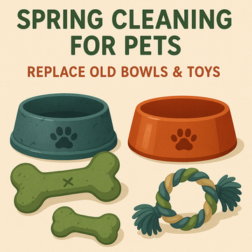 Spring Cleaning for Pets: Replace Old Bowls & Toys