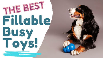 What toys keep dogs busy for hours?