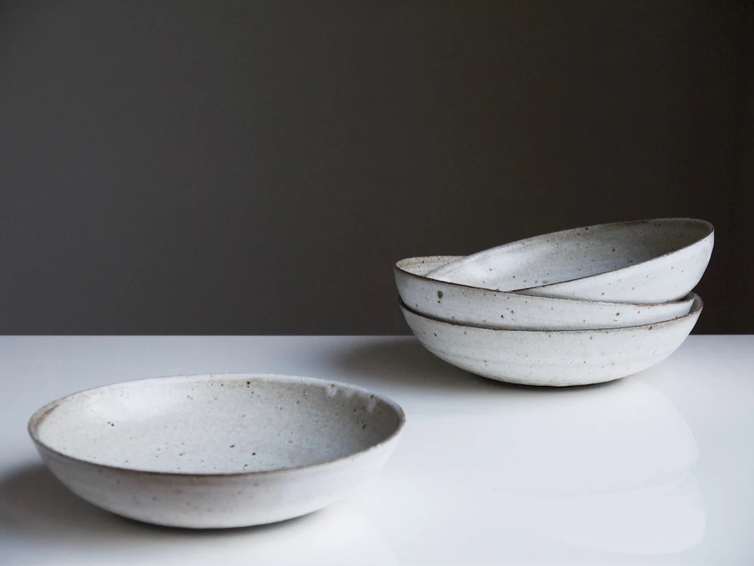 Ceramic Slow Feeders for Healthier Pet Eating Habits