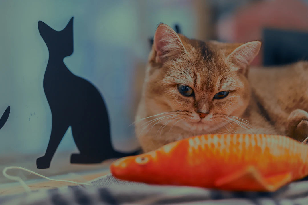 Elevate Your Pet's Playtime with Engaging Interactive Toys