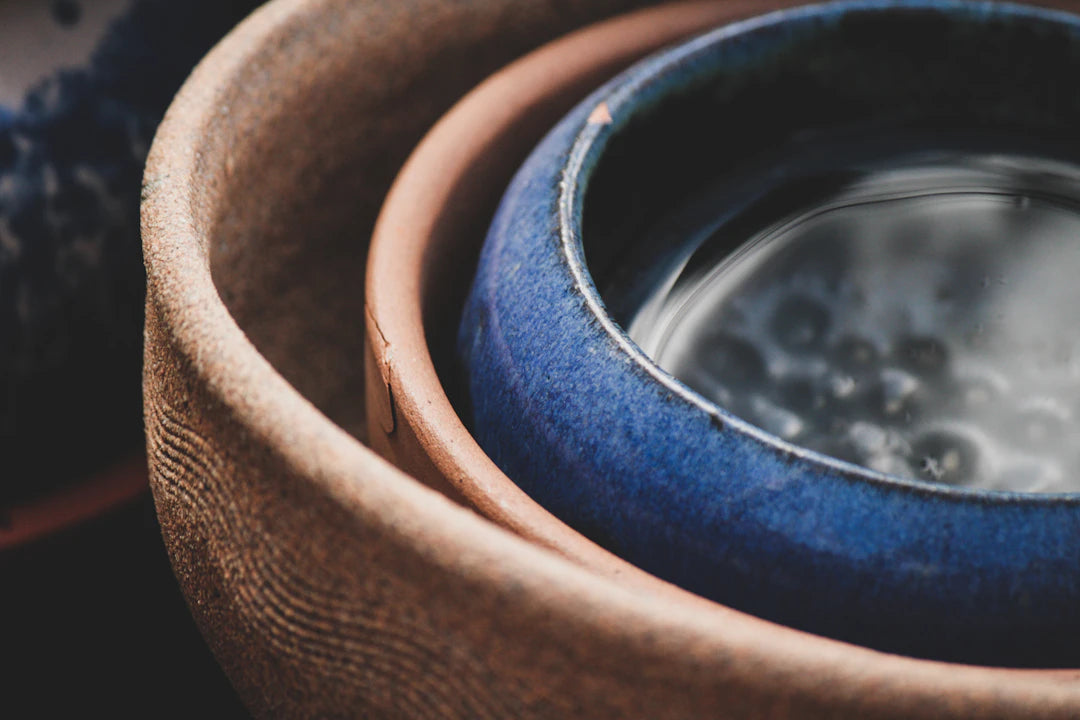 The Aesthetics of Ceramic Pet Bowls Enhance Your Décor