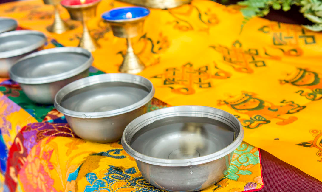 Elevated Stainless Steel Bowls for Healthier Pet Meals