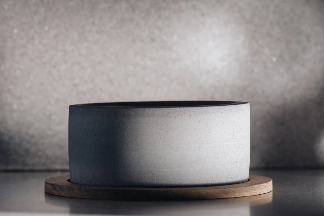 The Future of Pet Feeding Innovative Ceramic Bowl Designs