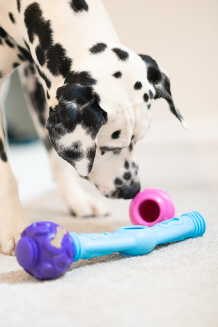 Ceramic Pet Bowls with Interactive Chew Toys for Health