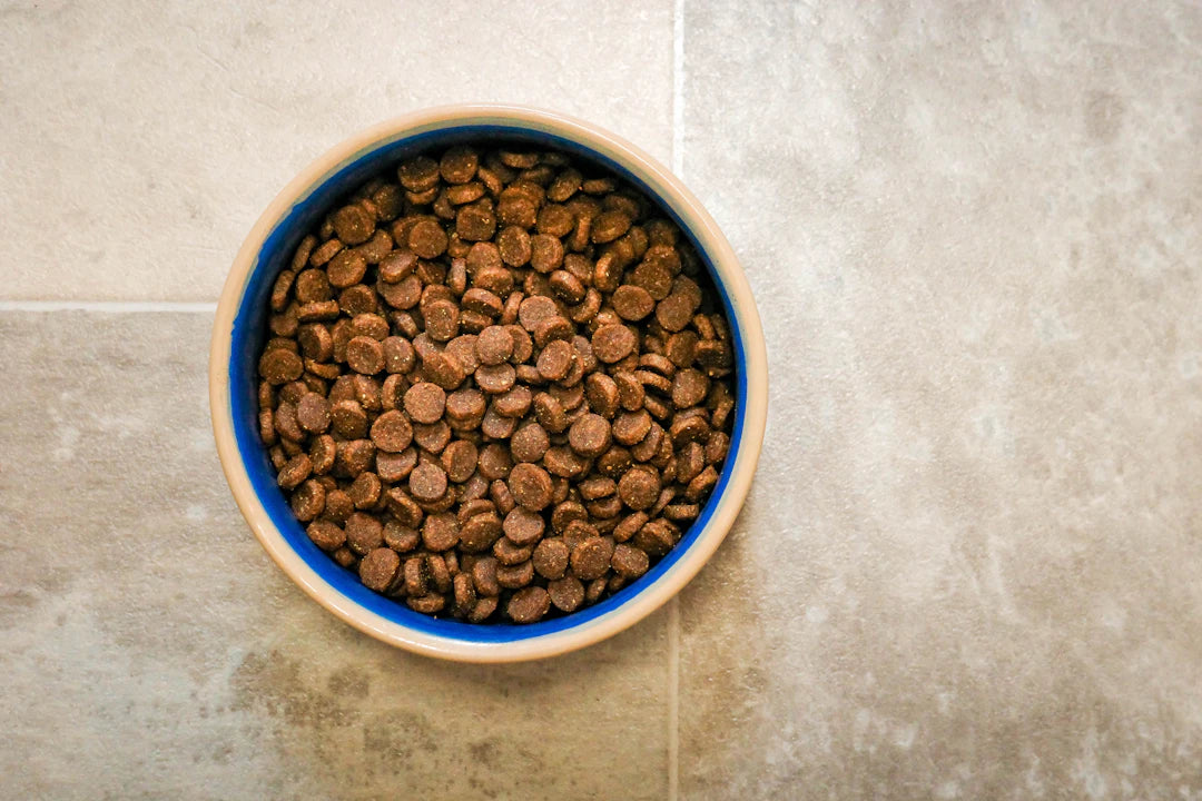 Mess-Free Meal Solutions with Ceramic Pet Bowls