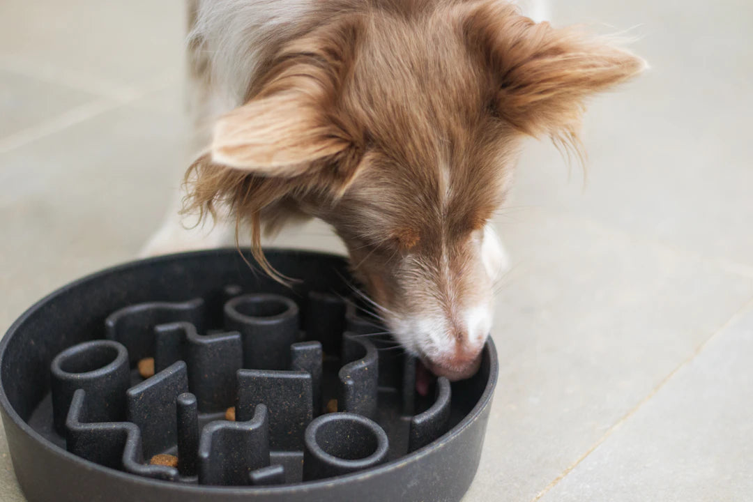 Ceramic  Silicone Slow Feeders for Pet Wellness
