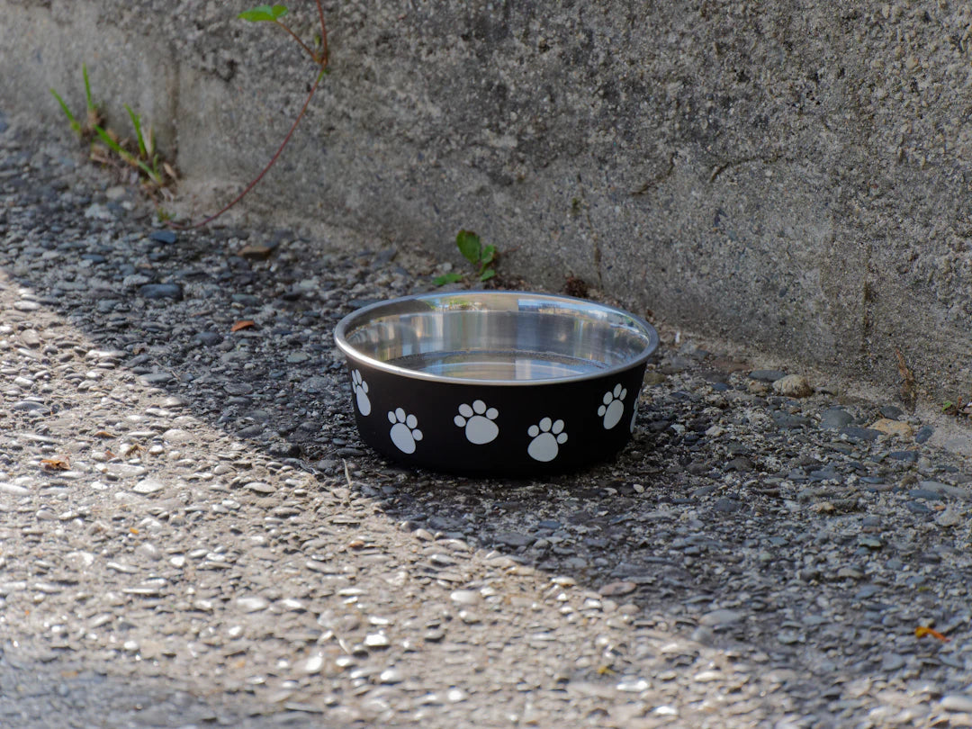 Ceramic Pet Bowls with Unique Designs for Playful Pets