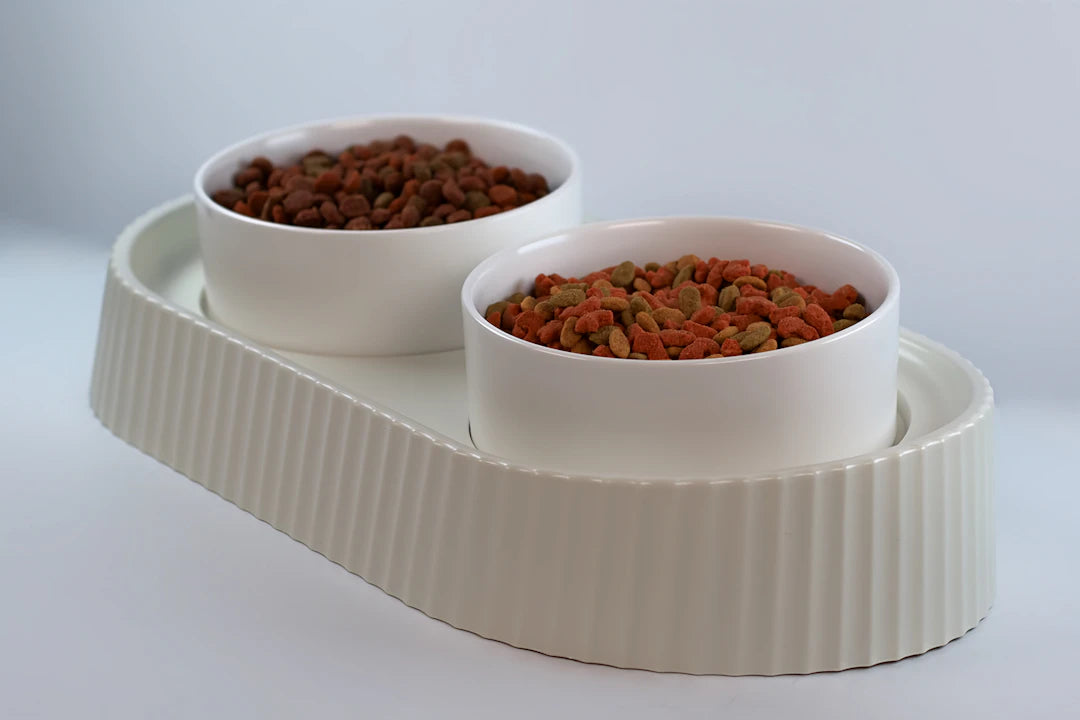 Ceramic Anti-Slip Slow Feeders for Cats and Dogs