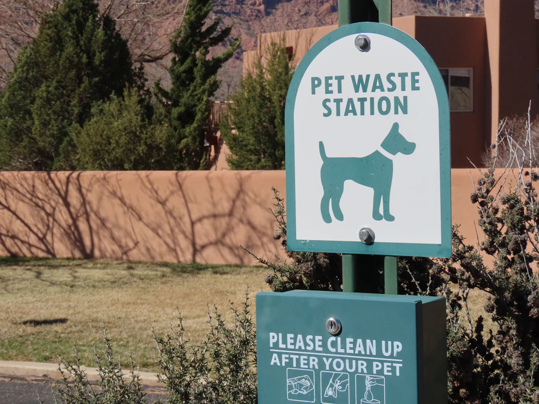 Enhance Outdoor Adventures with Essential Pet Waste Solutions