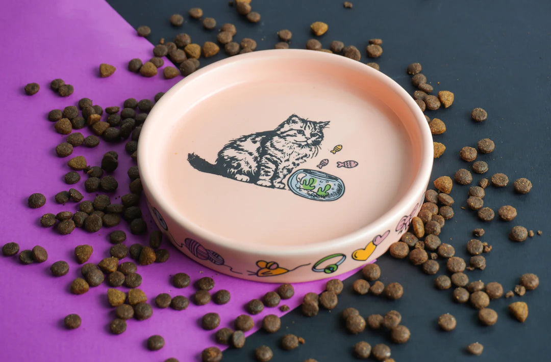 Pick the Perfect Ceramic Bowl Size for Your Pet
