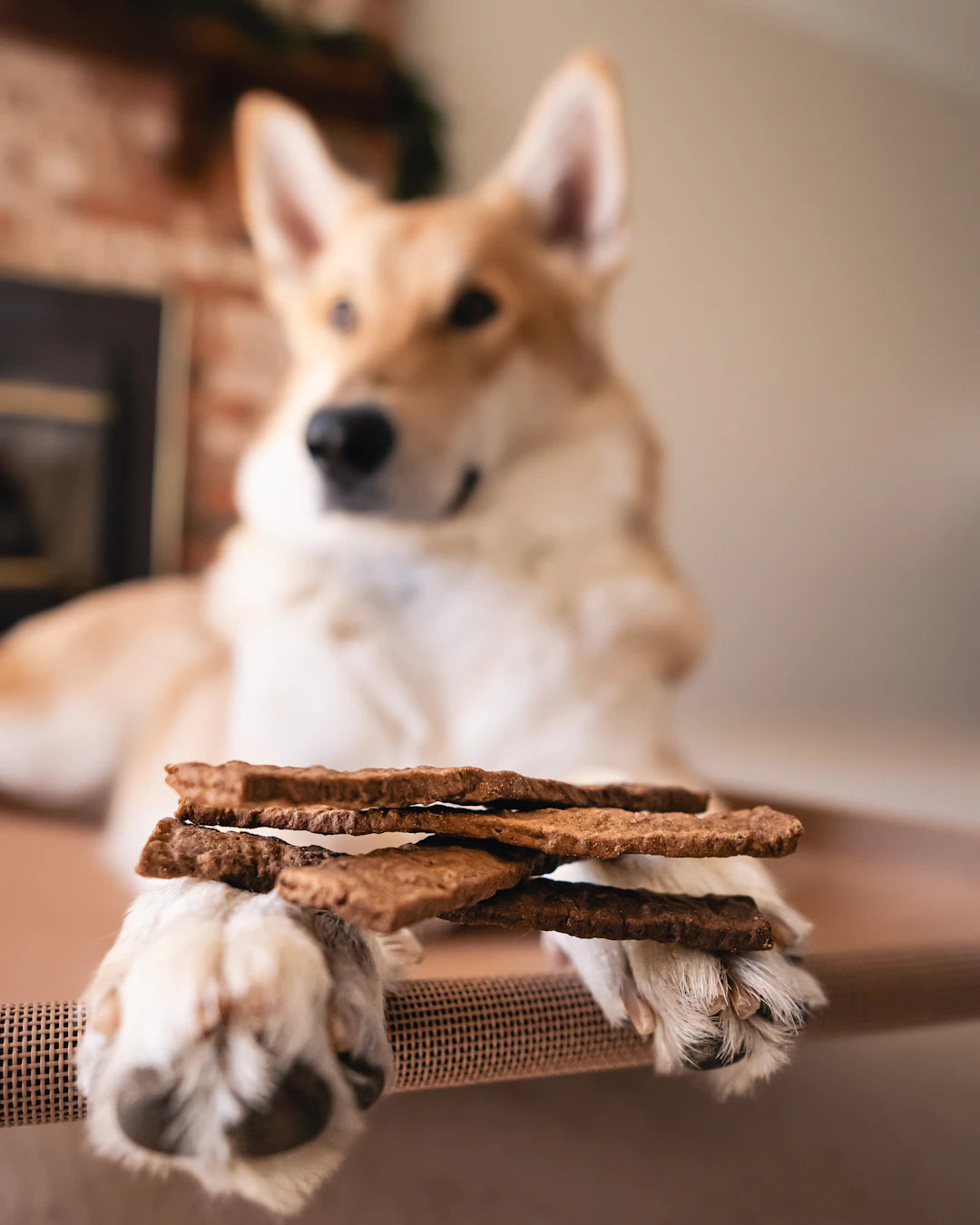 Unique Snuffle Mats for Interactive Pet Enrichment