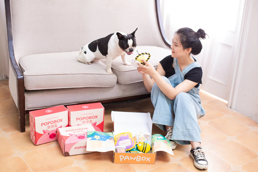 Enhance Pet Dental Health with Chew Toys and Treats