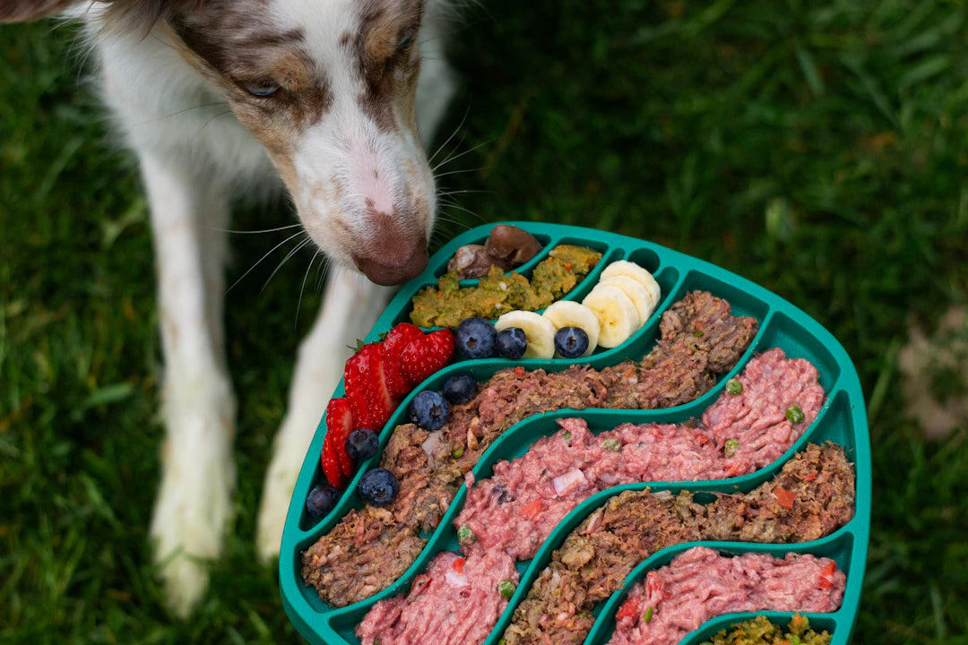 Ceramic Slow Feeders for Healthier Medium  Large Dogs