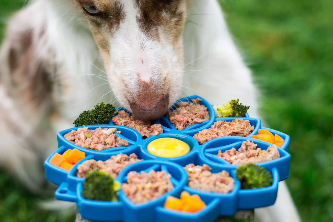 Enhance Pet Meals with Lick Mats for Calm Eating