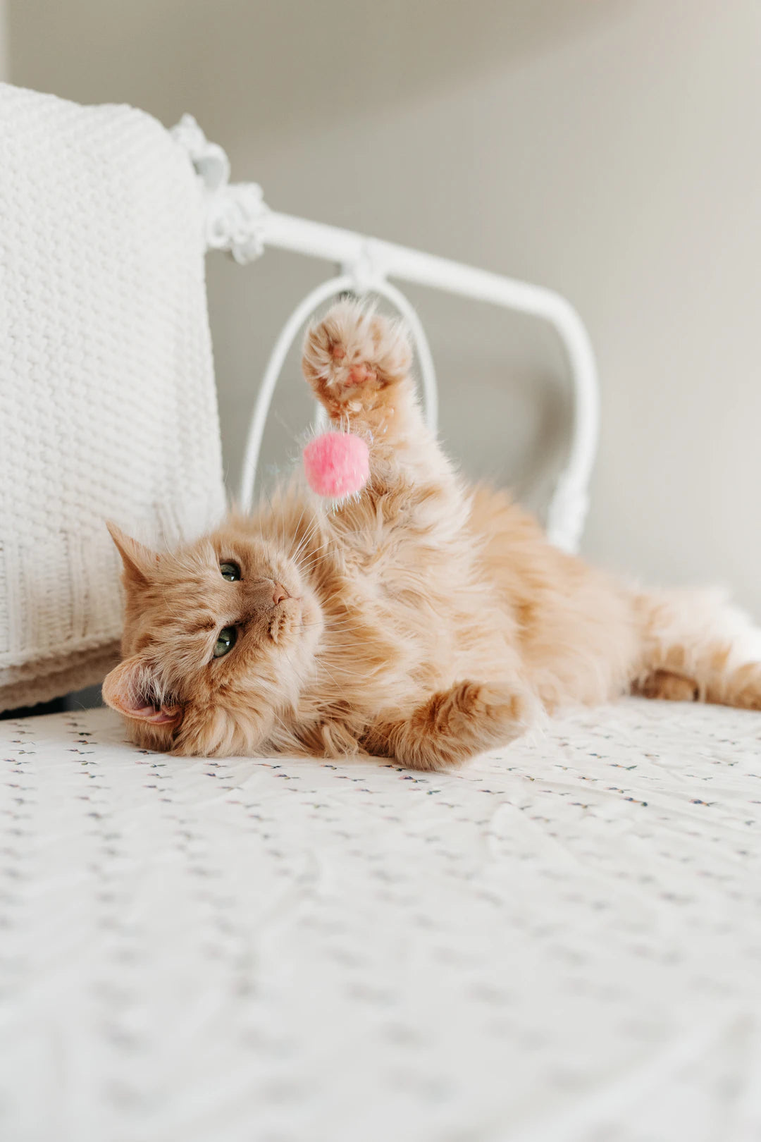 Engaging Holiday Cat Toys for Festive Fun and Play