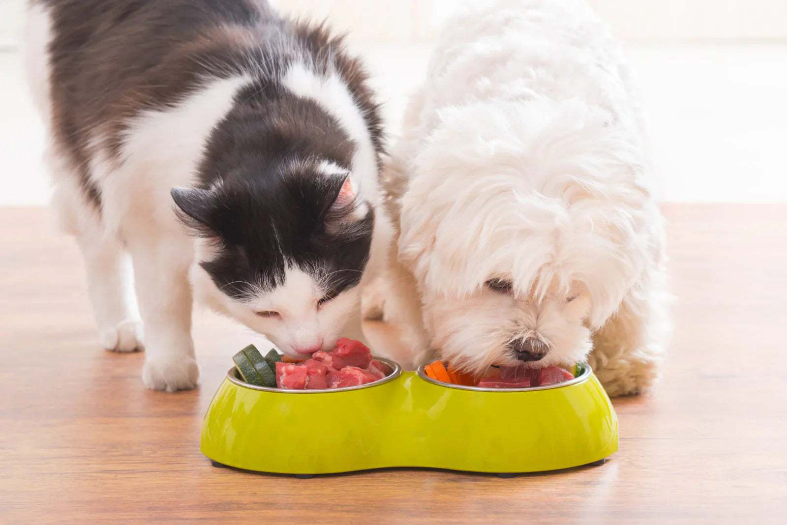 Is Your Cat or Dog Being Picky and Not Eating? Try These Tricks—Pet Owners Swear by Them!