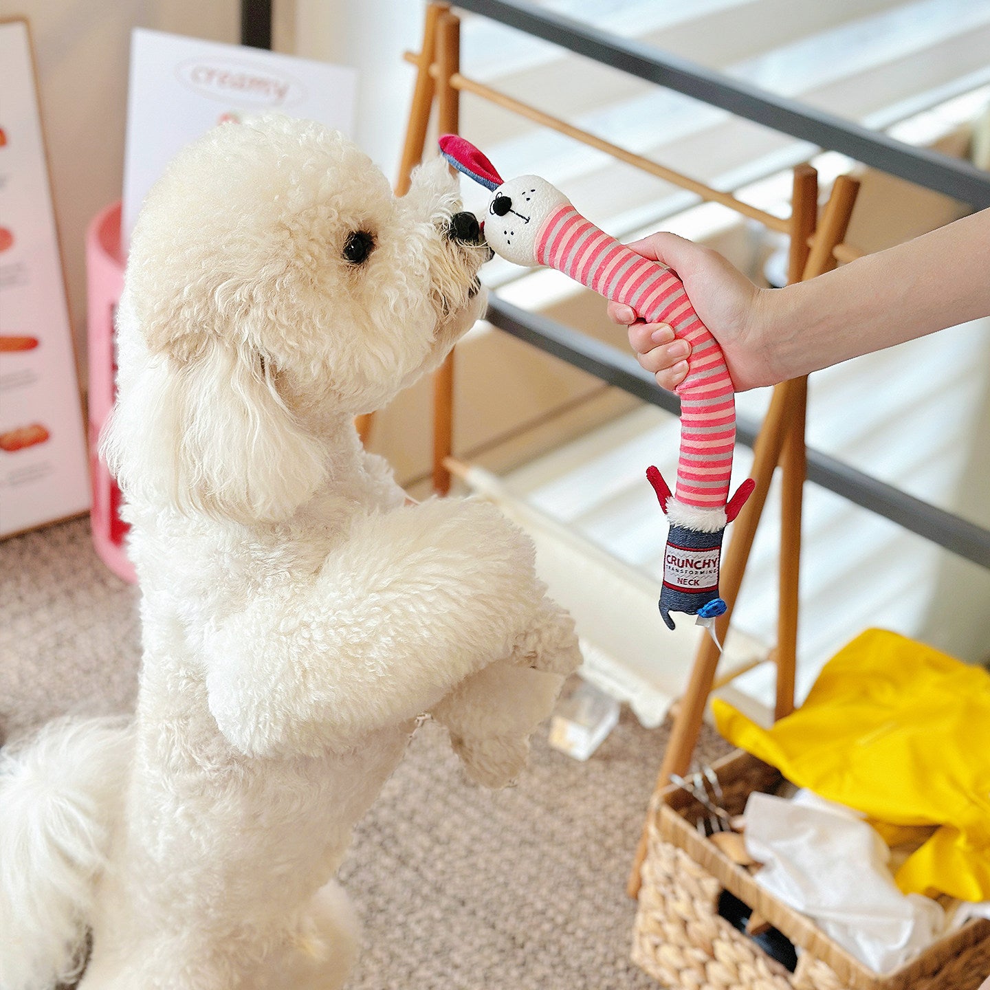 Interactive Dog Chew Toy – Squeaky Durable Toy for Dogs of All Sizes