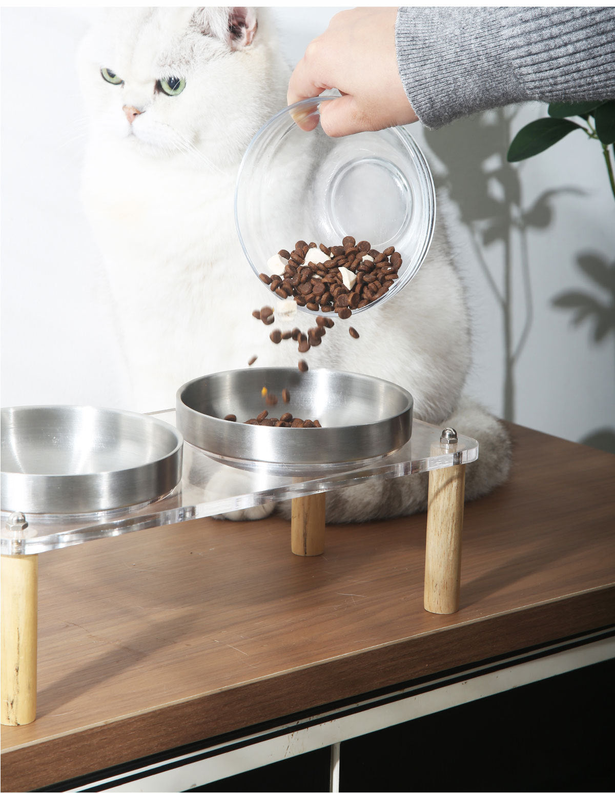 High-Stand Stainless Steel Dog & Cat Bowl set – Split Removable Pet Feeding Dish