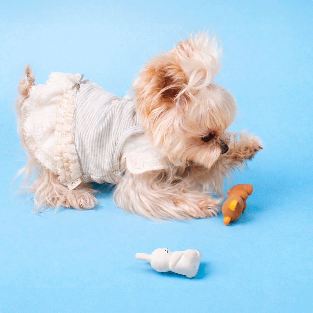 Soft Rubber Squeaky Chew Toy for Dogs – Durable Sound Toy for Teething and Boredom Relief
